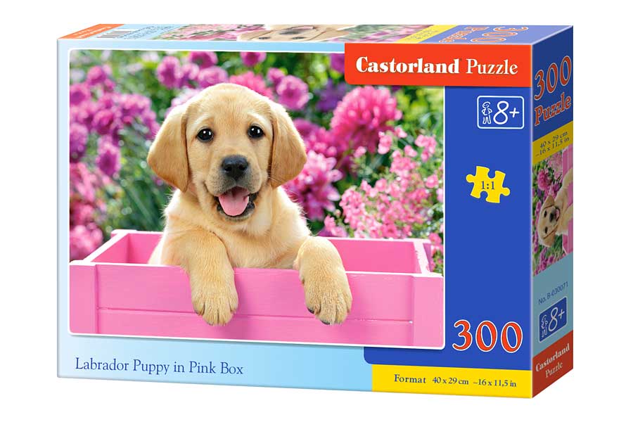 Castorland Puslespil – Hvalp i Rosa 300 brikker