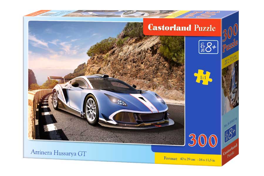 Castorland Puslespil – Arrinera Hussarya GT, 300 store brikker