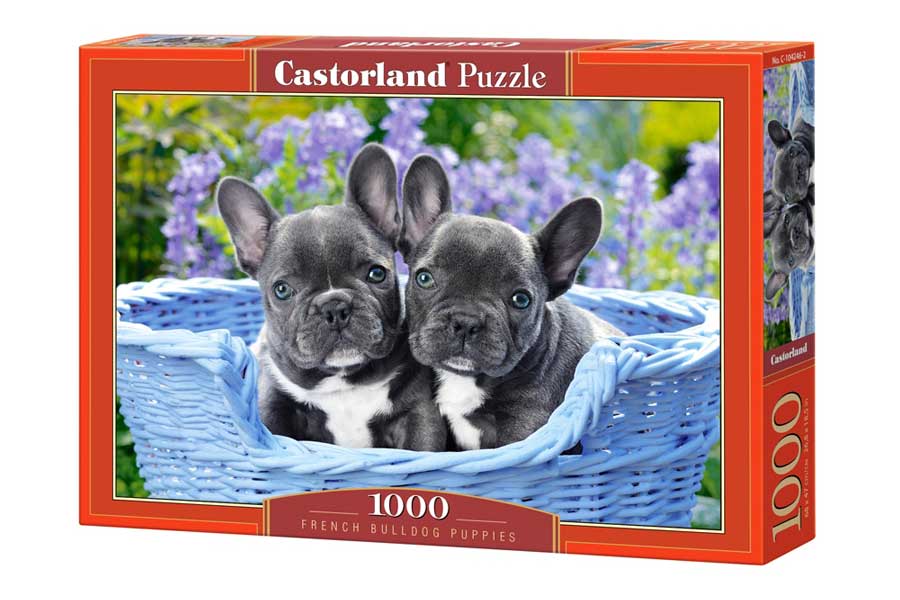Castorland Puslespil – Fransk Bulldog hvalpe 1000 Brikker