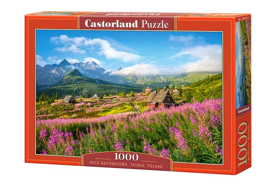 Castorland Puslespil – Hala Gąsienicowa, Tatras i Polen 1000 Brikker