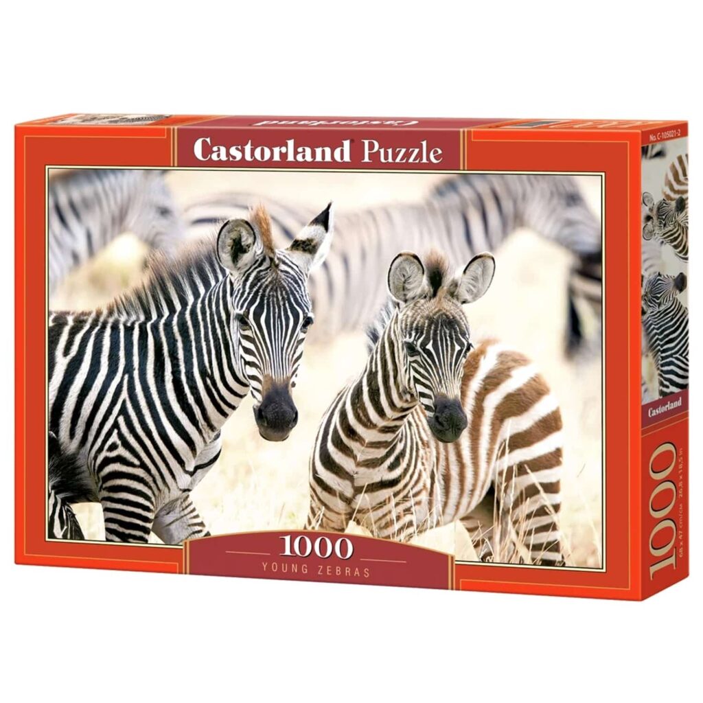 Castorland Puslespil – Unge Zebraer 1000 Brikker