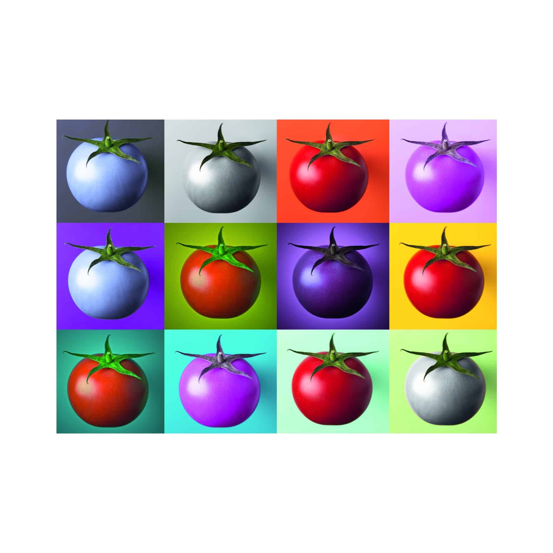 Dino Puslespil – Pop Art: Tomatcollage 1000 brikker - Billede 2