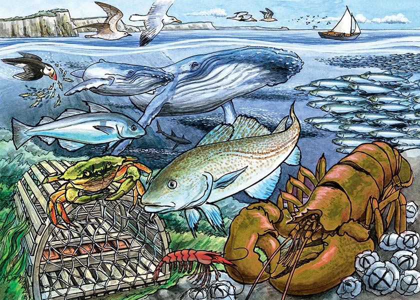 Cobble Hill Rampussel – Livet i Atlanterhavet 35 brikker