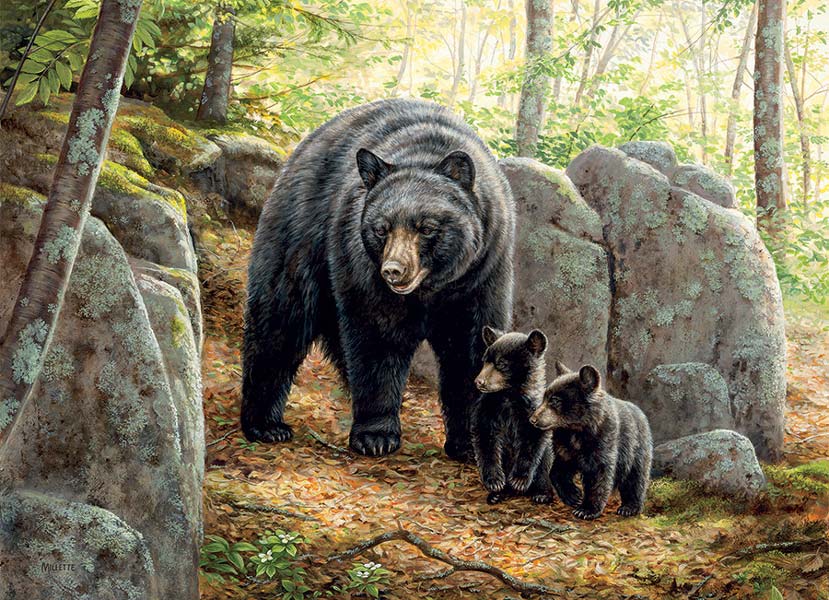 Cobble Hill Puslespil – Mor Bjørn 1000 brikker - Billede 2