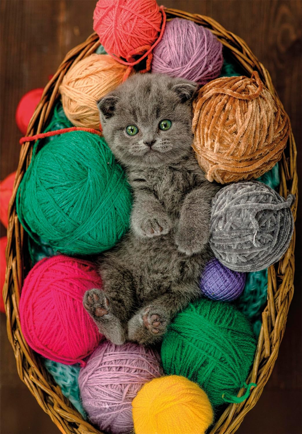 Clementoni Puslespil – Fluffy killing 500 brikker - Billede 2